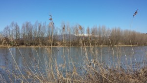 in bicicletta lungo il fiume Adige